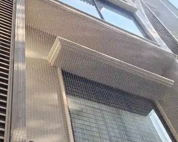 safety nets for balconies in vellore, balcony safety nets in vellore, anti birds nets in vellore, anti birds safety nets in vellore, anti bird nets installation in vellore, anti birds nets for balcony in vellore, all sports netsin vellore, balcony safety nets in vellore, birds safety nets in vellore, birds protection nets in vellore, birds nets for balcony in vellore, bird net control services in vellore, bird nets installation in vellore, bird netting for balconies in vellore, bird net installation price in vellore, children safety nets in vellore, children safety nets for balcony in vellore, cricket practice nets in vellore, duct area safety nets in vellore, monkey safety nets in vellore, nets for balcony in vellore, pigeon safety nets in vellore, pigeon net services near me pigeon nets for balconies in vellore, pigeon netting services in vellore, pigeon nets in vellore, sports nets in vellore, shade nets in vellore, invisible grills for balcony in vellore, invisible mesh for balconies in vellore, invisible grills price for balconies in vellore,