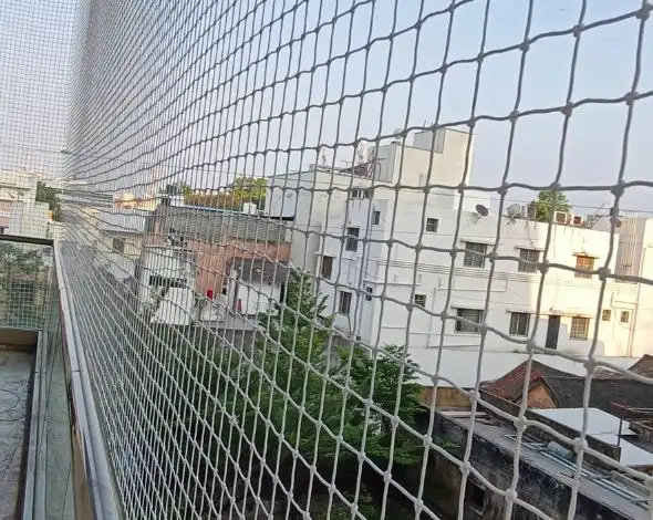 bird control spikes