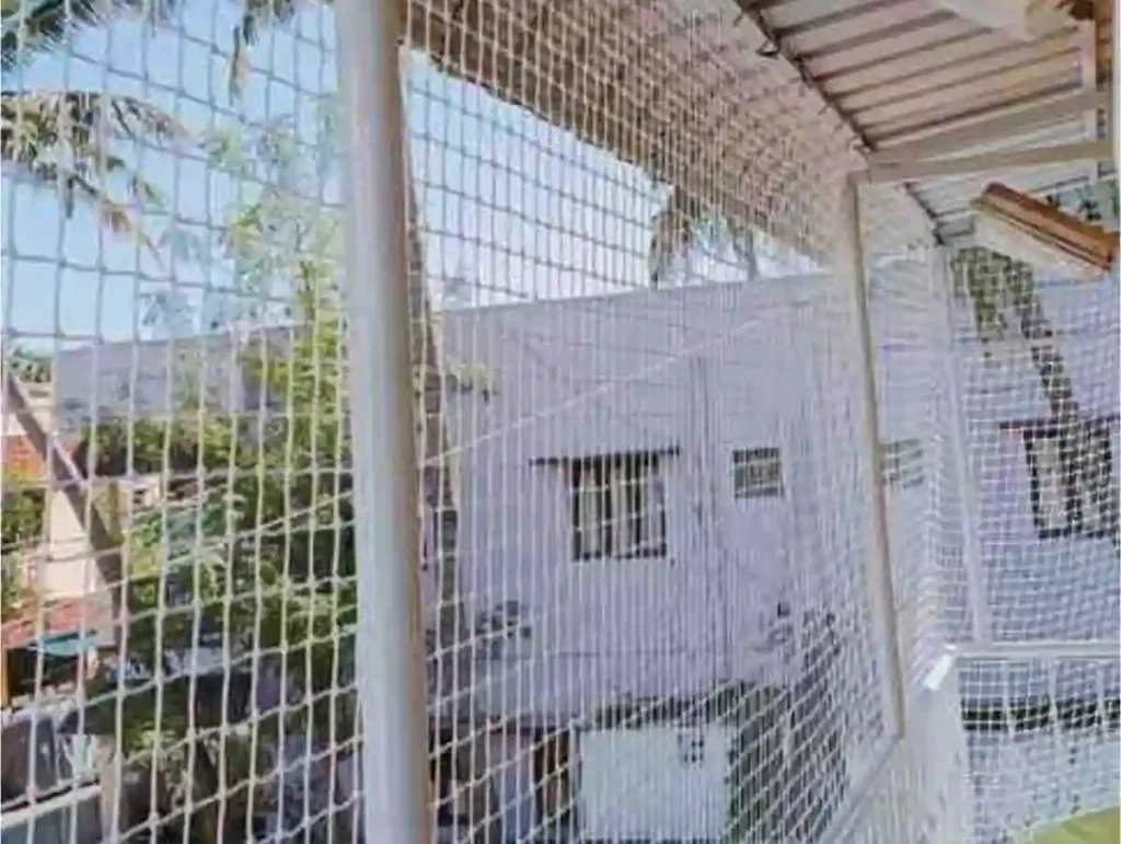 Pets Safety nets near me in Chennai